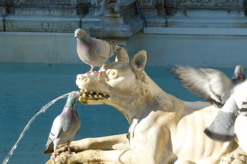 Italy travel photograph 16 by Alessandro Maciel