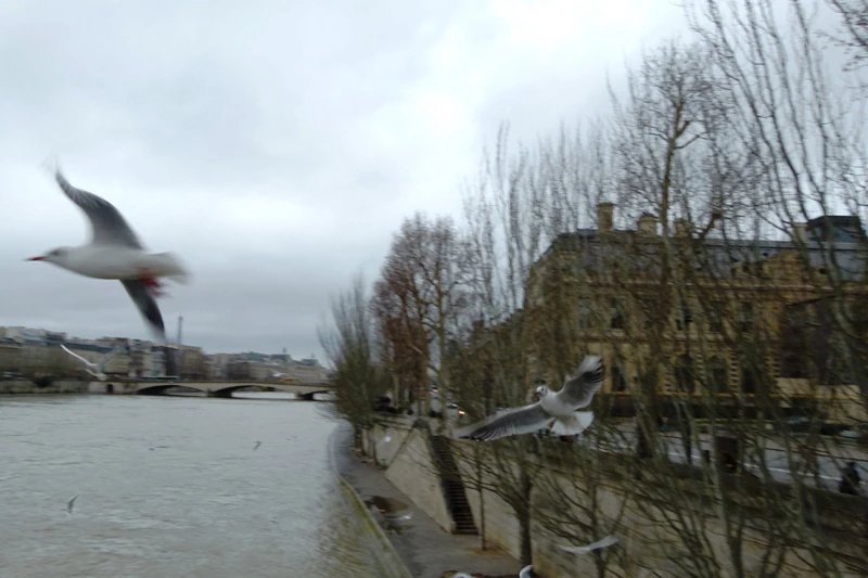 Paris travel photograph 16 by Alessandro Maciel