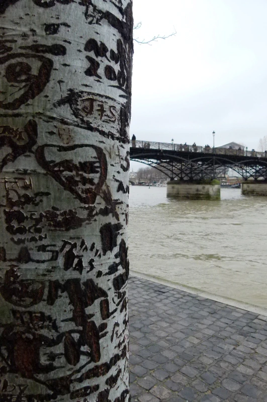 Paris travel photograph 21 by Alessandro Maciel